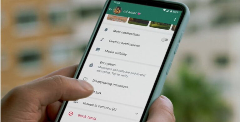 How to see WhatsApp message without seen