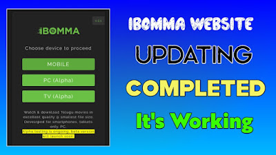 IBOMMA Website