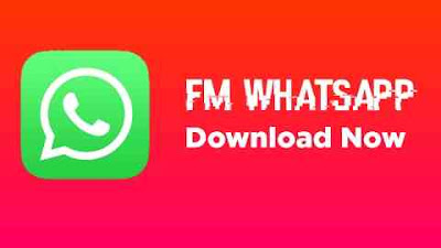 FM WhatsApp APK